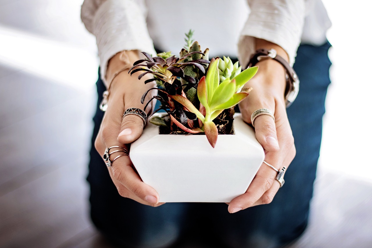 Top 7 Benefits of Indoor Plants in the Office