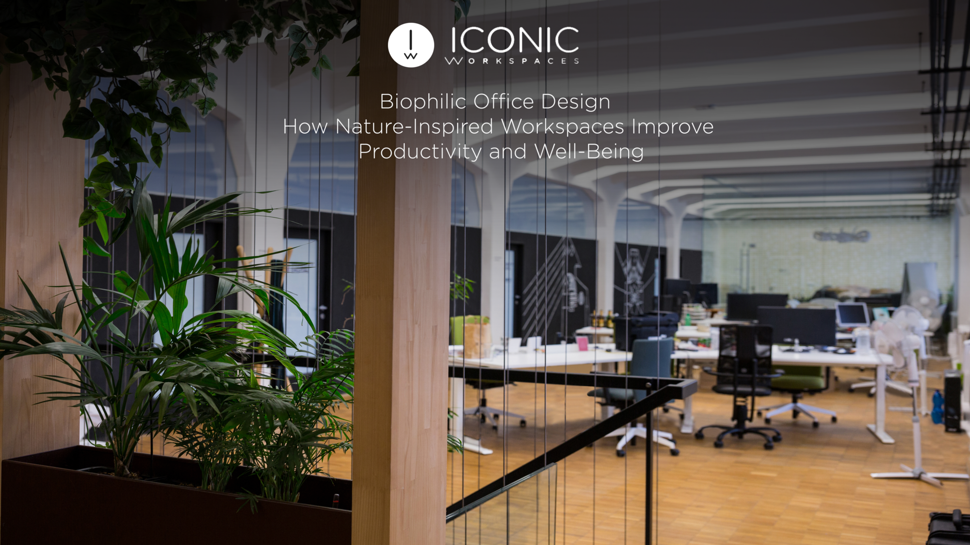 Biophilic Office Design: How Nature-Inspired Workspaces Improve Productivity and Well-Being