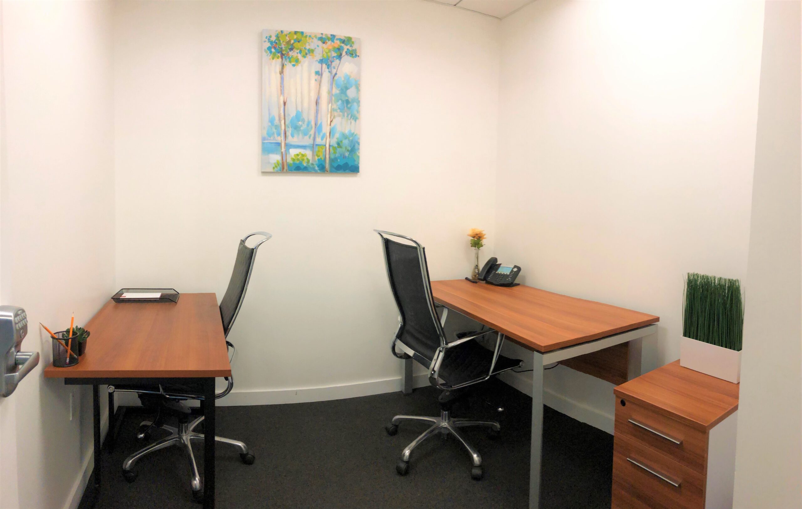 Private office with wooden desk, ergonomic chair and artwork on the wall