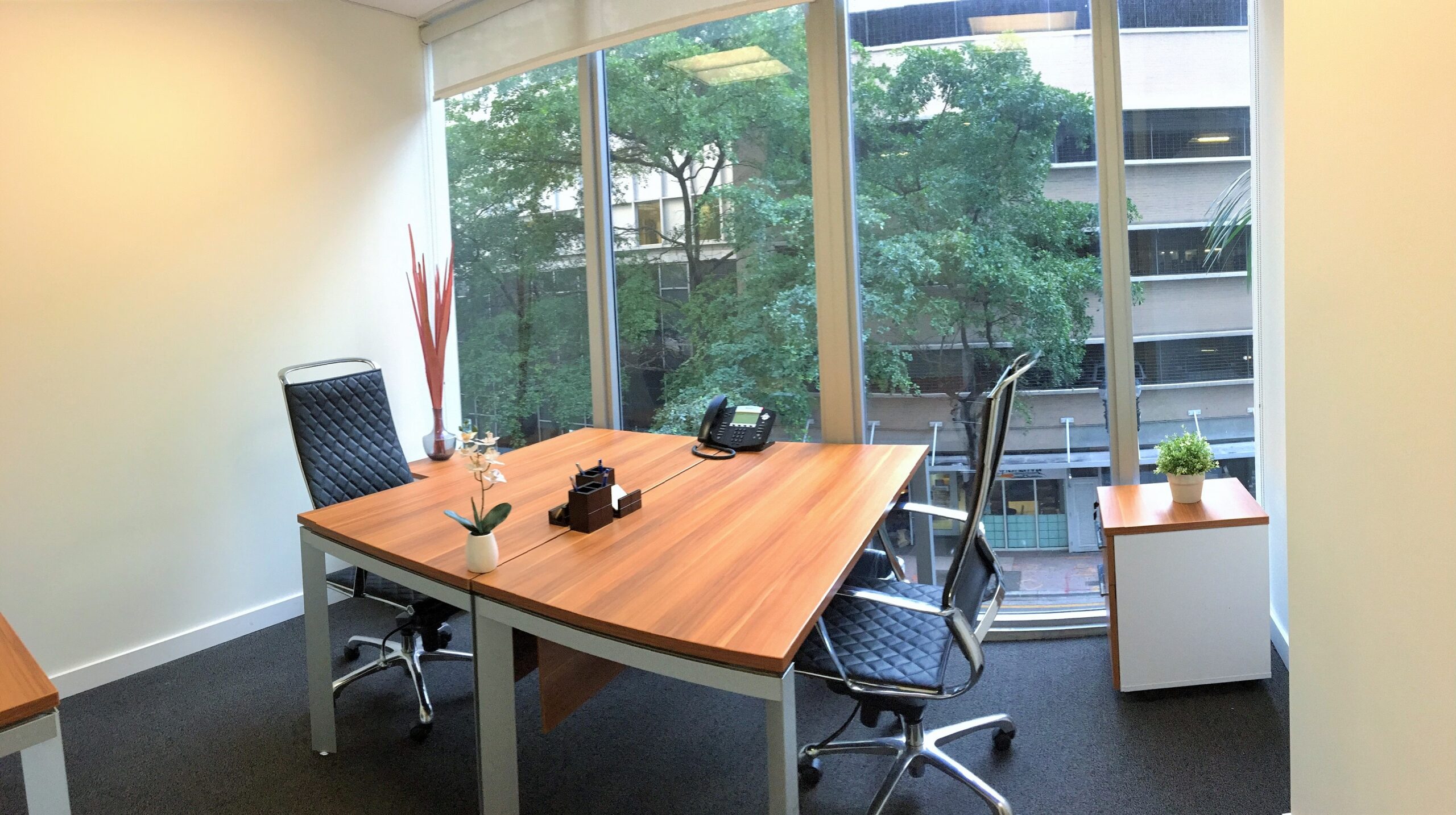Small private office with wooden desk, ergonomic chair and large windows